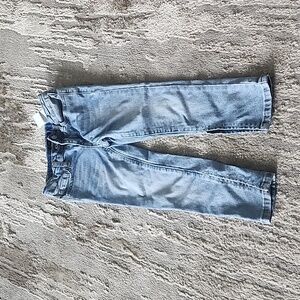 Joes Jeans denim pants